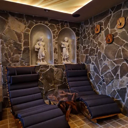 So Vstupom Do Privatneho Wellness A Vyhladom Na Hrad Trenčín