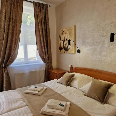 So Vstupom Do Privatneho Wellness A Vyhladom Na Hrad * Trenčín