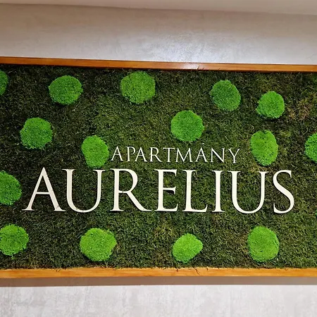 So Vstupom Do Privatneho Wellness A Vyhladom Na Hrad Lägenhet *