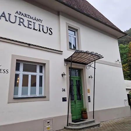 Lägenhet So Vstupom Do Privatneho Wellness A Vyhladom Na Hrad