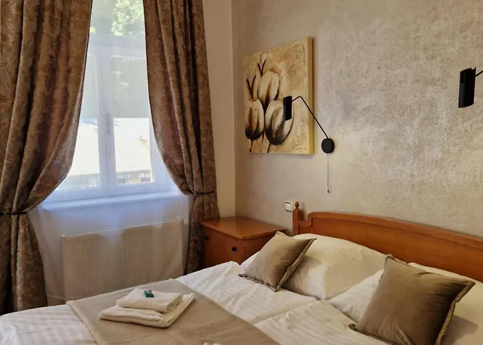 So Vstupom Do Privatneho Wellness A Vyhladom Na Hrad * Trenčín