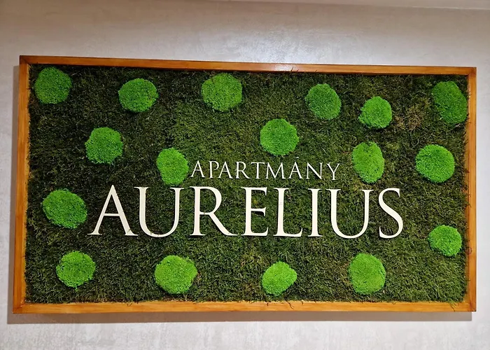 So Vstupom Do Privátneho Wellness A Výhľadom Na Hrad Apartamento *