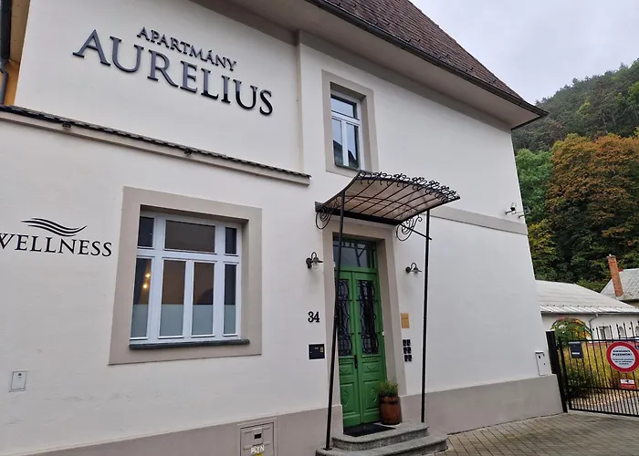 Lägenhet So Vstupom Do Privatneho Wellness A Vyhladom Na Hrad